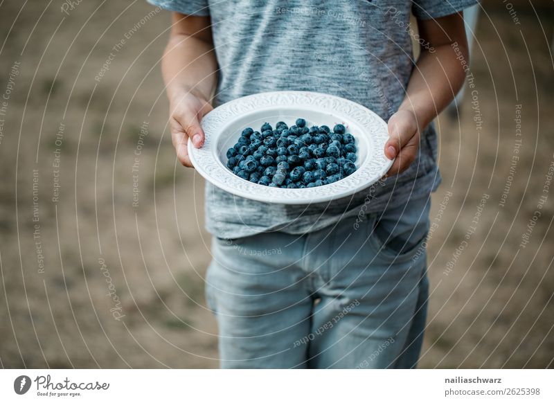 blueberries Food Fruit Dessert Blueberry Nutrition Organic produce Vegetarian diet Diet Plate Bowl Healthy Healthy Eating Summer Human being Child Boy (child)