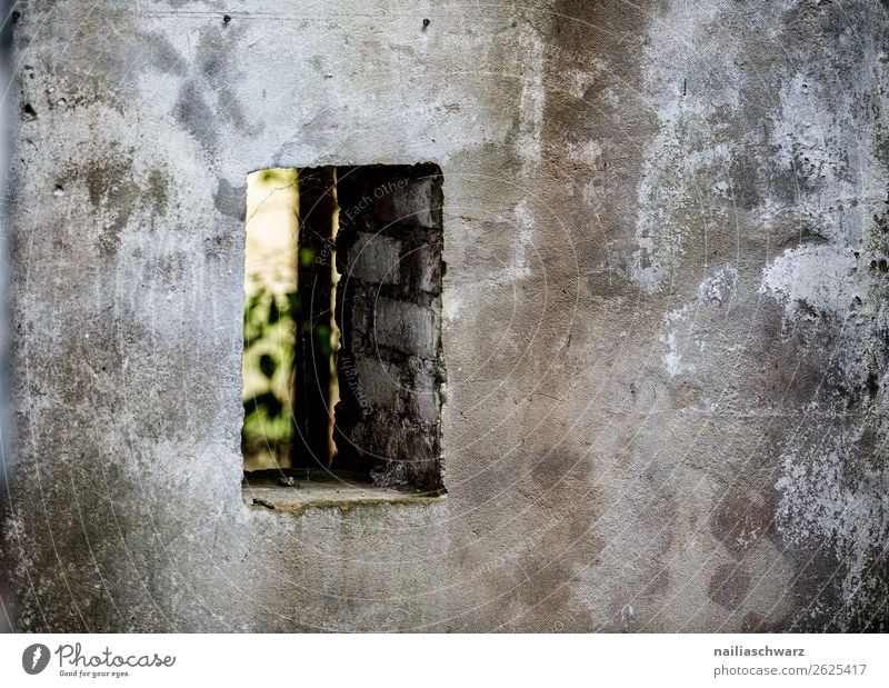 windows Vogelsang Warszin Meklenburg Mecklenburg-Western Pomerania Germany Europe Outskirts Deserted House (Residential Structure) Manmade structures Building