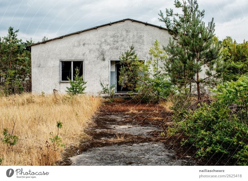 Abandoned barracks Trip Adventure Nature Summer Plant Tree Grass Wild plant Mecklenburg-Western Pomerania Germany Village Small Town Outskirts Deserted