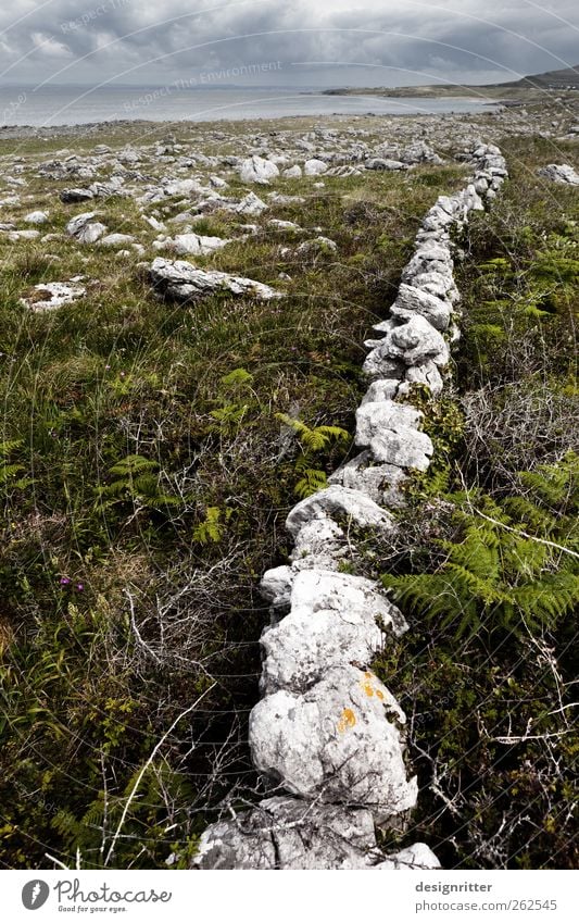 This path will not be an easy one ... Landscape Sky Clouds Plant Grass Bushes Fern Foliage plant Rock Coast Ocean Atlantic Ocean Ireland Wall (barrier)