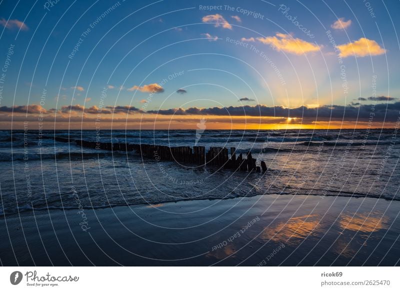 Baltic Sea coast on the island of Moen in Denmark Relaxation Vacation & Travel Tourism Beach Ocean Nature Landscape Water Clouds Autumn Coast Blue Yellow Idyll