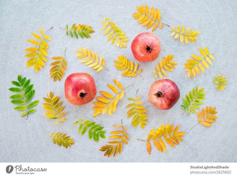 Pomegranates and colorful ashberry tree leaves Fruit Organic produce Vegetarian diet Beautiful Healthy Eating Garden Gardening Art Nature Plant Autumn Tree Leaf