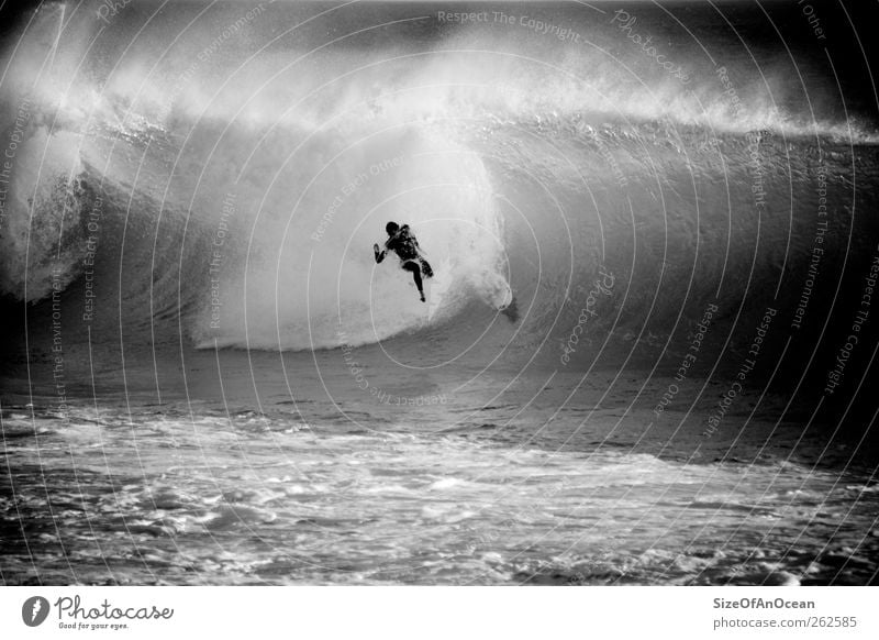 Wipe out at Supertubos, Peniche/Portugal Surfing Adventure Beach Ocean Aquatics Man Adults Water Waves To fall Exceptional Gigantic Pain Fear Dangerous Fiasco