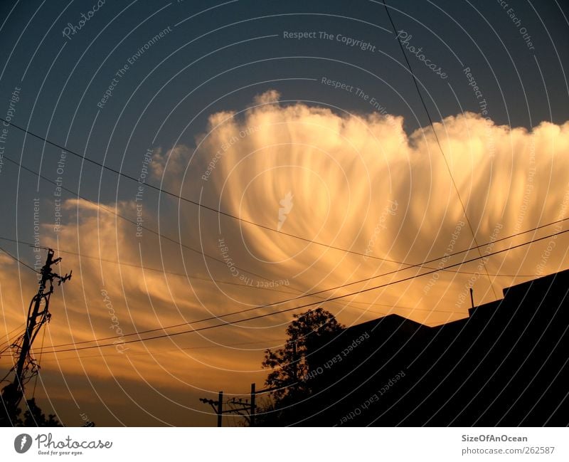 Strange Cloud Clouds Sunrise Sunset Sunlight Climate Climate change Pune Town House (Residential Structure) Gigantic Apocalypse UFO Colour photo Exterior shot