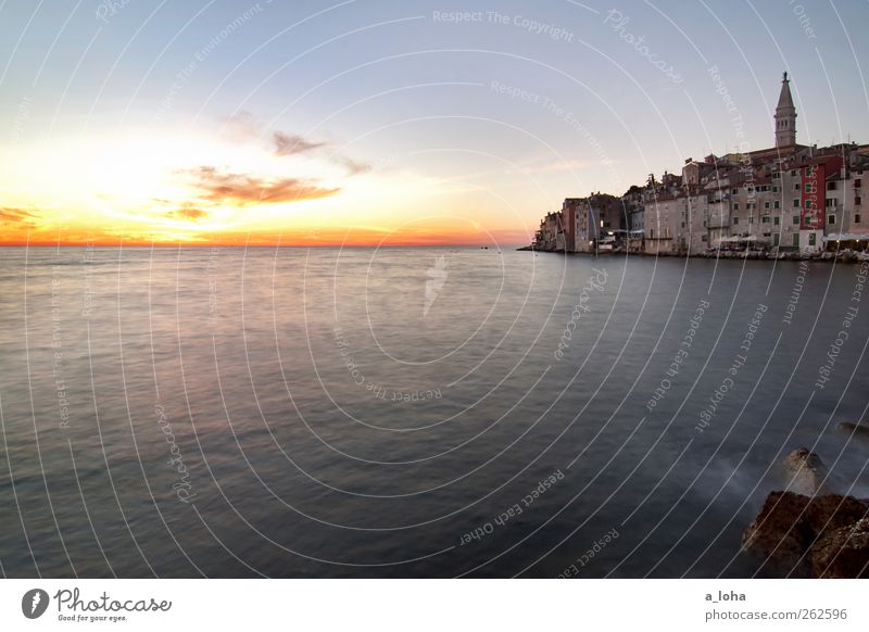 lights out Elements Water Sky Horizon Sunrise Sunset Beautiful weather Coast Bay Ocean Rovinj Croatia Europe Village Old town House (Residential Structure)