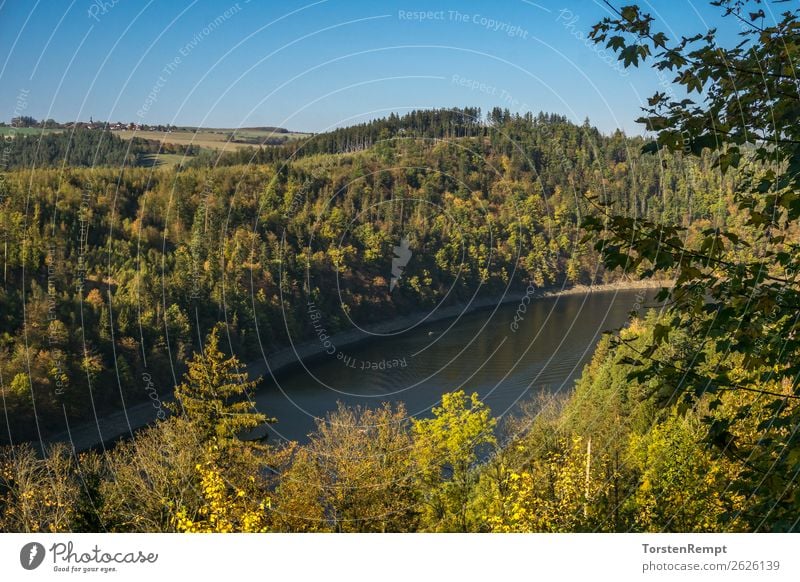 Hohenwarte Reservoir Nature Landscape Summer Autumn Tree Lake Discover Relaxation Blue Yellow Green Joie de vivre (Vitality) Hohenwartet dam Highlands