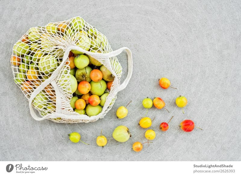 Mesh bag full of colorful apples from the garden Food Fruit Apple Nutrition Organic produce Vegetarian diet Shopping Healthy Eating Summer Garden Gardening