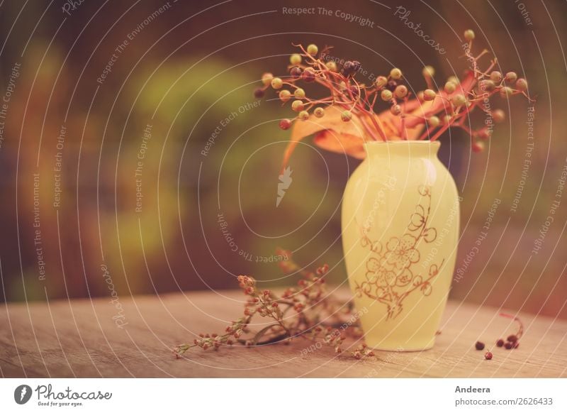 Autumnal still life with vase and plants on a wooden plate Living or residing Garden Decoration Nature Plant bushes flaked Foliage plant Wild plant Terrace