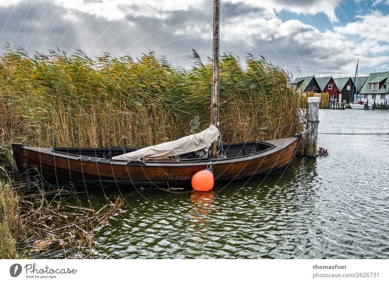 Zeese, fishing village, Vacation & Travel Tourism Fisherman Fishing boat Fishery Nature Landscape Sky Clouds Autumn Bad weather Wind Rain Common Reed Waves