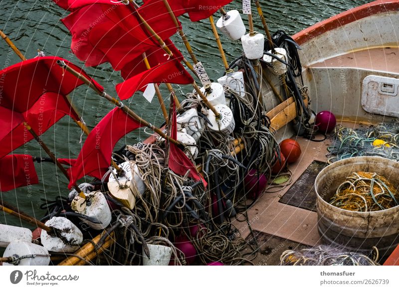 Fishing boat with flag Fisherman Fishery Net fishing net Fischer flag Water Harbour Effort Identity Testing & Control Sustainability Nature Network Perspective