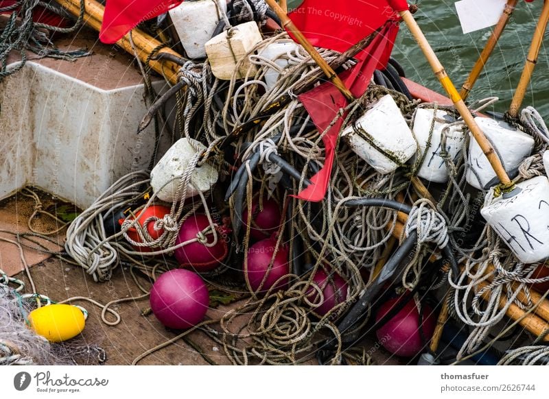 Fishing net, balls Colour photo Shadow Contrast Ocean Trip Vacation & Travel Bay Baltic Sea Nature Sky Bad weather Coast Environment Autumn Fishing village