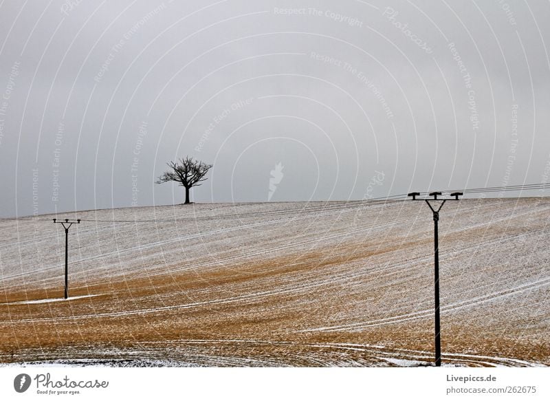 Krakow by the lake 2 Energy industry Environment Nature Landscape Winter Weather Snow Plant Tree Field Hill Wood Loneliness Colour photo Exterior shot Day