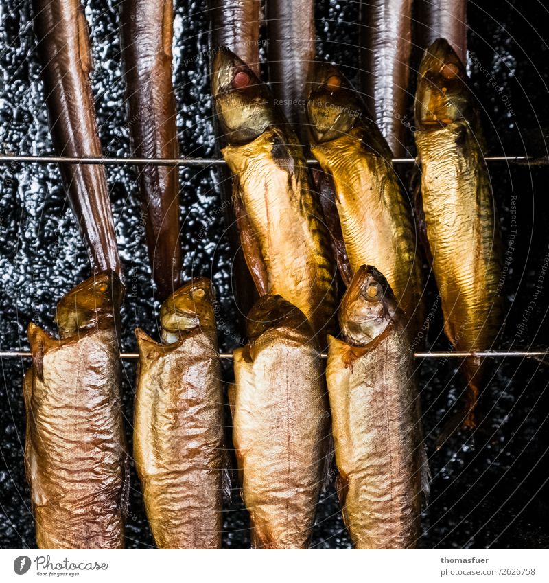 Fish smokehouse, herrings, smoking oven Kipper Herring Nutrition Lunch Organic produce Nordic Vacation & Travel Trade Flock Barbecue (apparatus) smoke oven