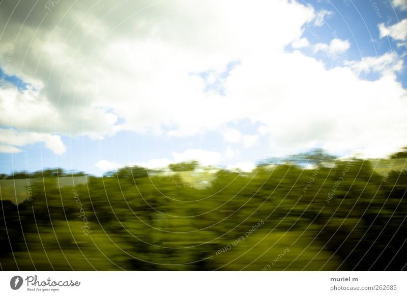 almost german summer Environment Nature Landscape Plant Elements Air Sky Clouds Horizon Summer Climate Climate change Weather Beautiful weather Tree Bushes