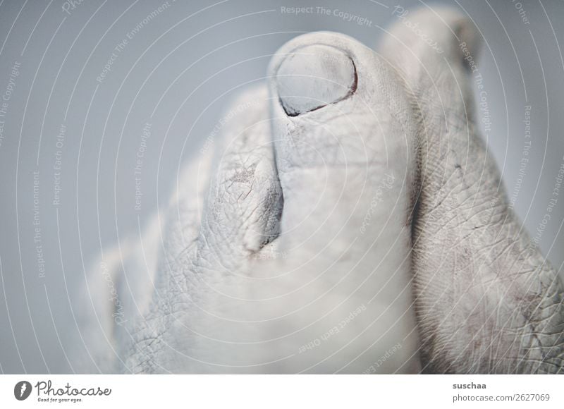 praying feet Feet Toes Toenail body part Human being Colour White Painted Skin Wrinkle Shallow depth of field Neutral Background Detail Close-up Prayer