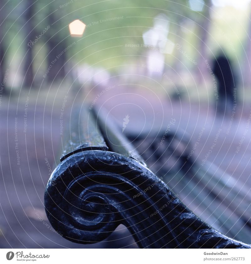 Walk in the park. Human being Masculine 1 Environment Park Town Capital city Downtown Bench Park bench Bright Cold Beautiful Gloomy Moody Colour photo