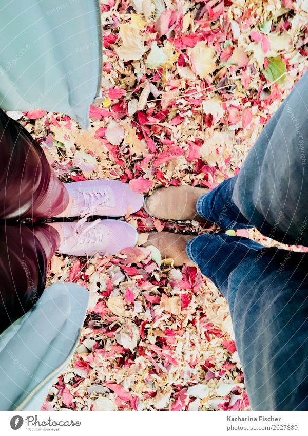 Stand by me Leaf Pants Cloth Leather Footwear Sneakers Blue Brown Multicoloured Yellow Green Orange Pink Red Legs Jeans Coat Clothing Autumn Together