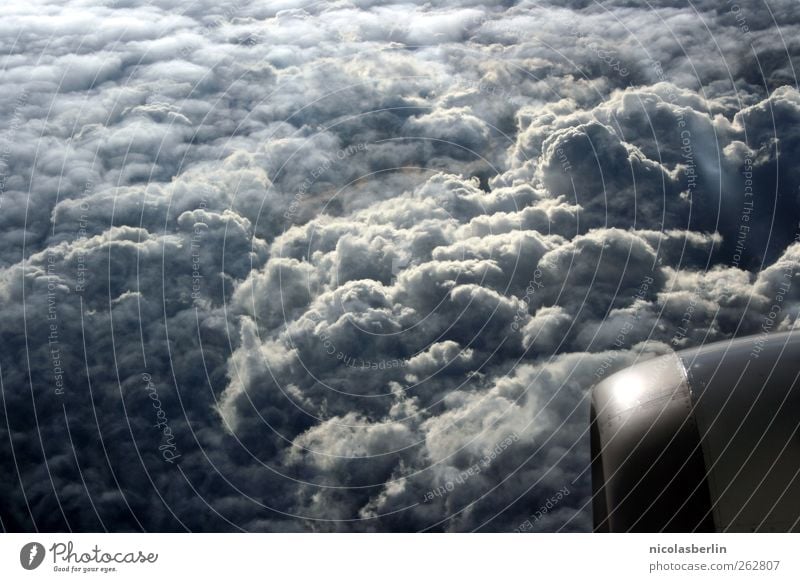 I'll be off. Vacation & Travel Freedom Environment Sky Clouds Storm clouds Weather Gale Aviation Airplane View from the airplane Flying Exterior shot