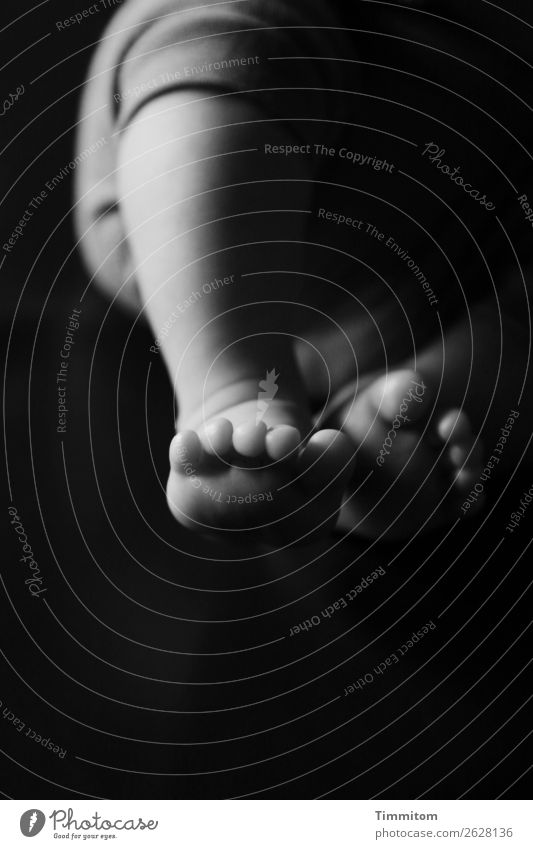 Small feet (2) Baby Feet Lie Esthetic Simple Gray Black White Emotions Joie de vivre (Vitality) Affection Toes Black & white photo Interior shot Light Shadow