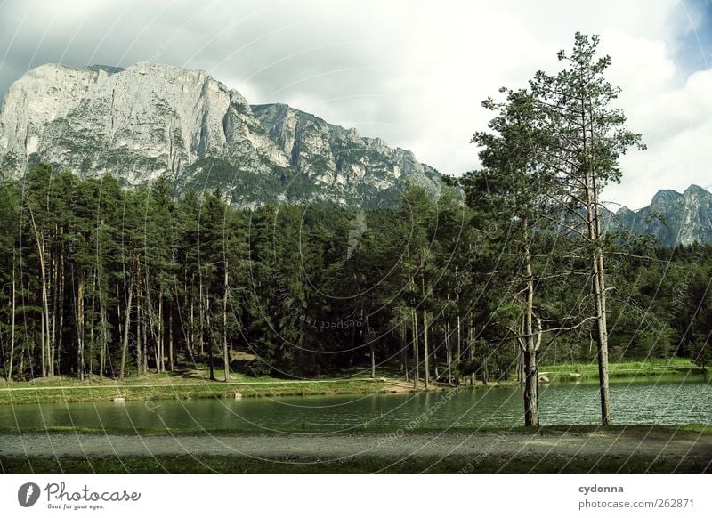 Forest lake with view to the Sciliar Relaxation Calm Vacation & Travel Tourism Trip Environment Nature Landscape Summer Tree Alps Mountain Lakeside Loneliness