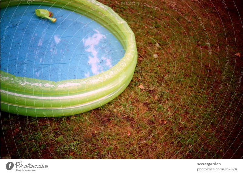 sunbathing. Grass Meadow Toys Watering can Round Blue Brown Green Paddling pool Wet Rubber Childless Inflatable Plastic Analog Colour photo Multicoloured