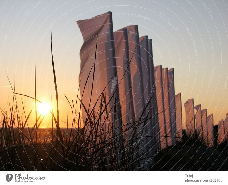 Flags in the sunset red Vacation & Travel Far-off places Summer Sun Beach Landscape Cloudless sky Sunrise Sunset Sunlight Grass Coast North Sea Illuminate