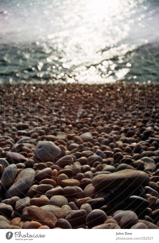 Chesil Beach Far-off places Summer vacation Ocean Island Waves Coast Longing Homesickness Wanderlust Past Transience Gravel beach Pebble beach Stony Analog