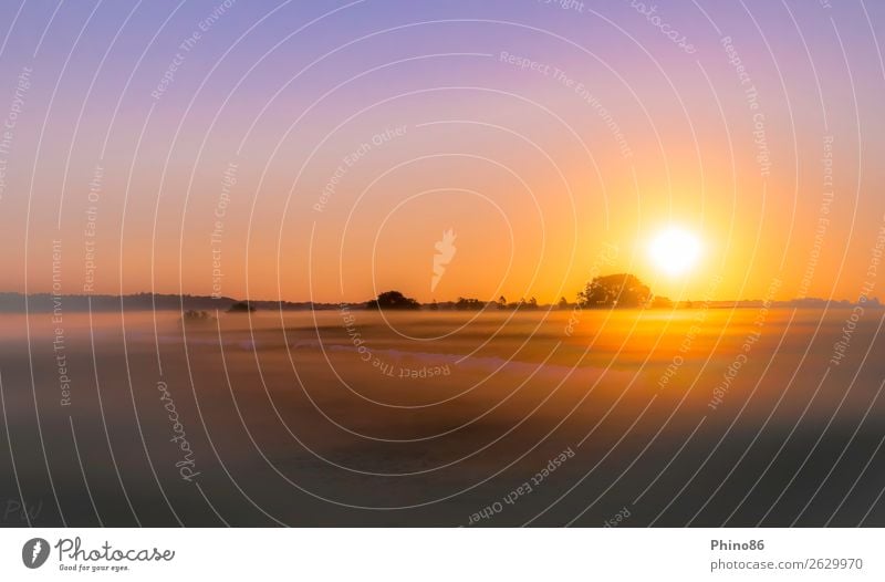 Sunrise in the "Nebeltal" Nature Landscape Plant Cloudless sky Sunset Sunlight Summer Beautiful weather Fog Tree Grass Meadow Field Bog Marsh Village Deserted