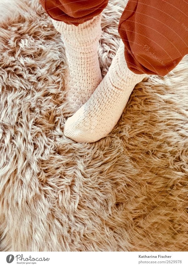 Socks on synthetic fur Legs Feet Pants Pelt Stand Brown Pink Red White Stockings Warmth Soft Winter Cuddling Cuddly Lifestyle knitted socks Cozy Colour photo