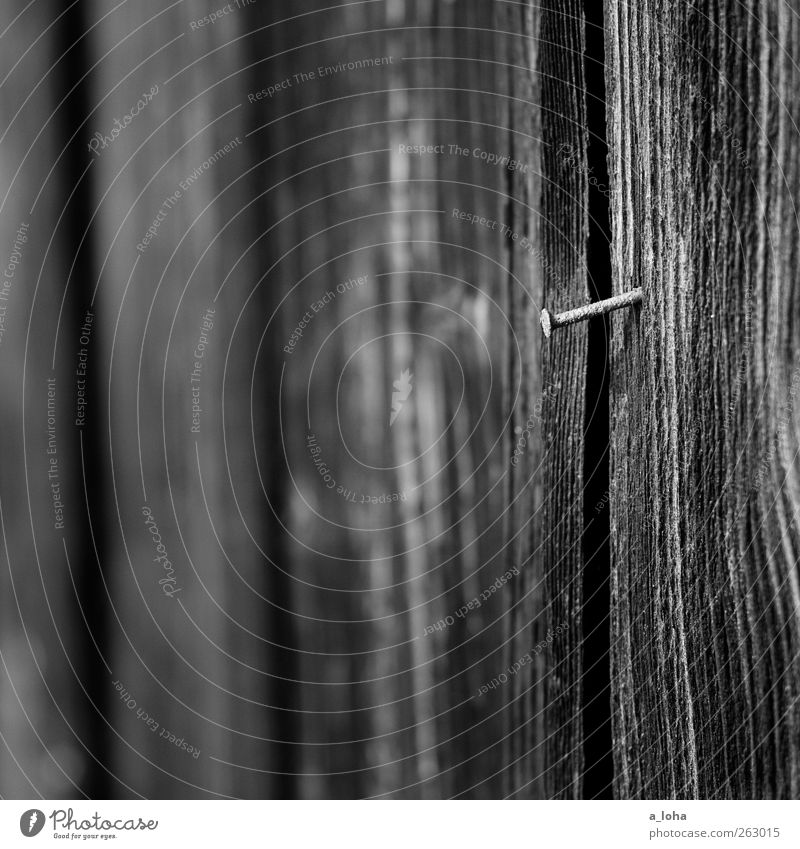 old Hut Facade Wood Metal Line Old Point Loneliness Nostalgia Wooden board Nail Rust Wooden wall Black & white photo Exterior shot Detail Deserted Day