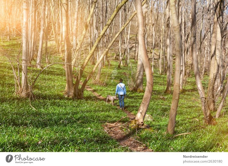 Forest walk in spring Trip Human being Feminine Woman Adults Nature Landscape Plant Spring Beautiful weather Tree Grass Lanes & trails Dog Walking Friendliness