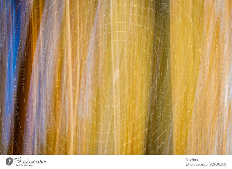 autumn Autumn Blur Yellow Abstract Experimental