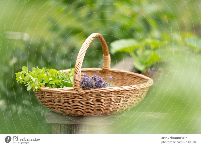 Freshly picked herbs in a basket Food Herbs and spices Nutrition Organic produce Vegetarian diet Lifestyle Shopping Healthy Healthy Eating Well-being