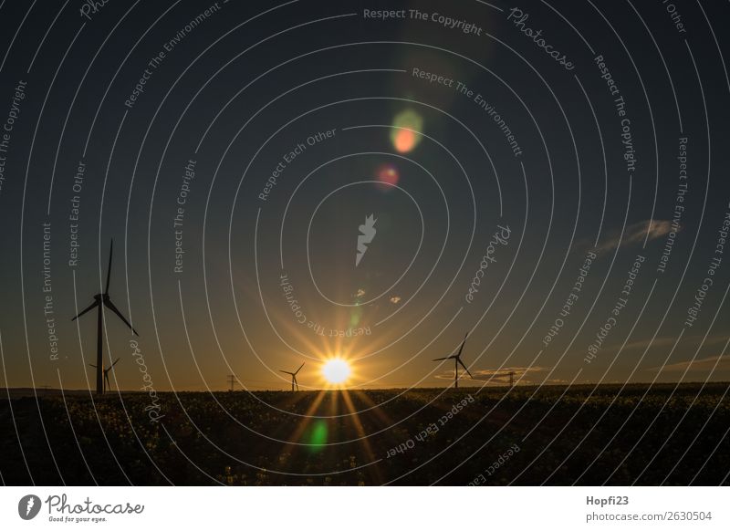 Sunrise at the windmills Energy industry Machinery Engines Technology Renewable energy Wind energy plant Energy crisis Environment Nature Landscape Earth Air