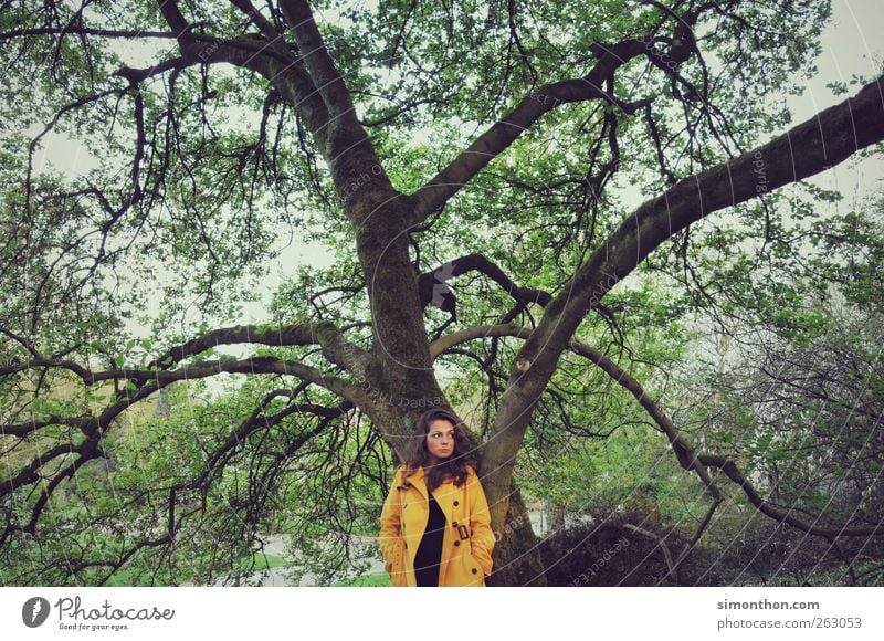 tree 1 Human being Uniqueness Yellow Center point Tree Park Retro Coat Raincoat Model Fashion Nature Beautiful Colour photo