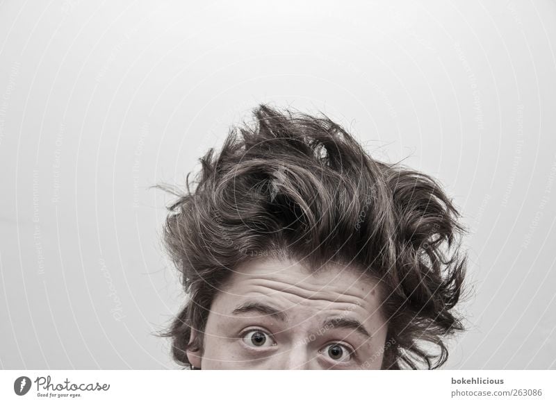 Bad Hair Day Human being Masculine Young man Youth (Young adults) Head Hair and hairstyles Eyes 1 18 - 30 years Adults Brunette Curl Observe Looking Exceptional