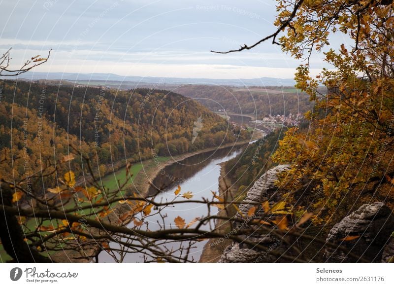 view of the Elbe Elbsandstone mountains Saxony Germany Autumn tourist region Nature Saxon Switzerland Landscape Rock Mountain Vacation & Travel Hiking Forest