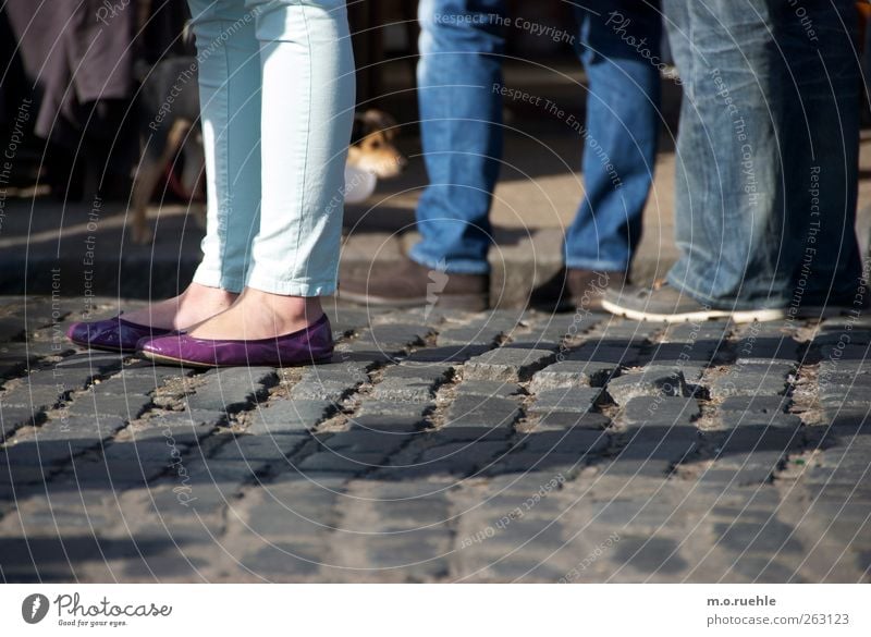 dog perspective Lifestyle Human being Masculine Feminine Legs Feet 3 Footwear Ballerina Animal Dog Perspective Paving stone Small Puppydog eyes Disorientated