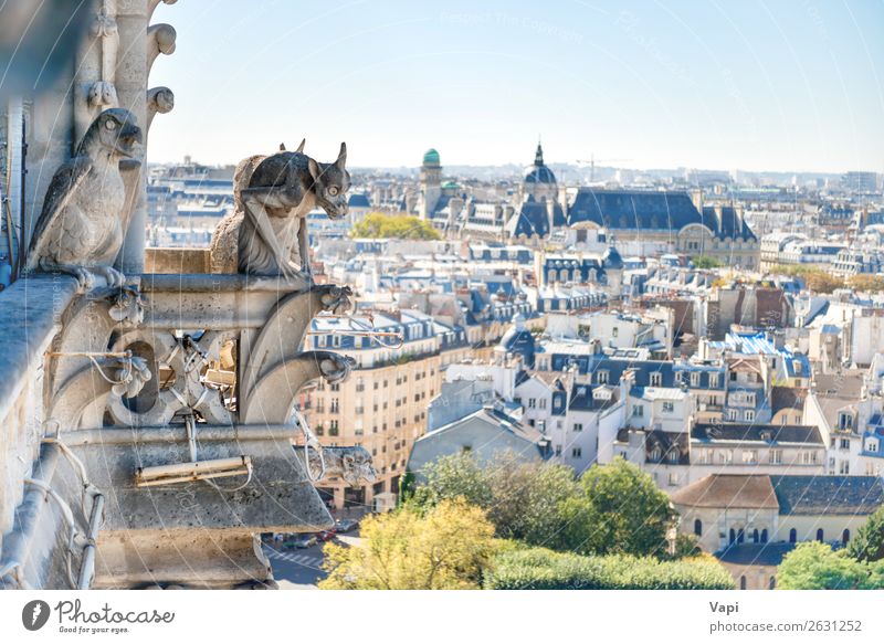 Gargoyle statue on Notre Dame de Paris Vacation & Travel Tourism Trip Sightseeing City trip Summer vacation Sculpture Culture Landscape Sky Horizon Sunlight