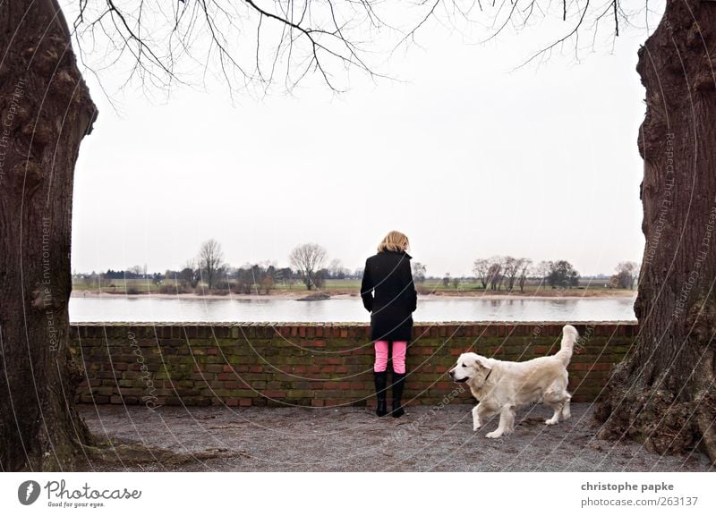 Rhine view with Wauzi Sightseeing Feminine 1 Human being Sky Cloudless sky Tree River bank Dog Animal Looking Stand Blonde Infinity Loneliness Far-off places