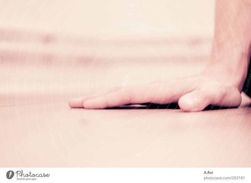 handy Masculine Hand 1 Human being Sit Support Fingers Colour photo Subdued colour Interior shot Detail Shallow depth of field