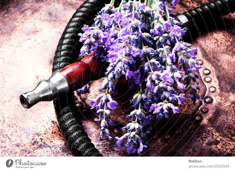 Asian tobacco hookah with lavender aroma flower shisha smoke herbal floral smoke shisha leaf dry mouthpiece hookah pipe relaxation hookah lounge arabic turkish