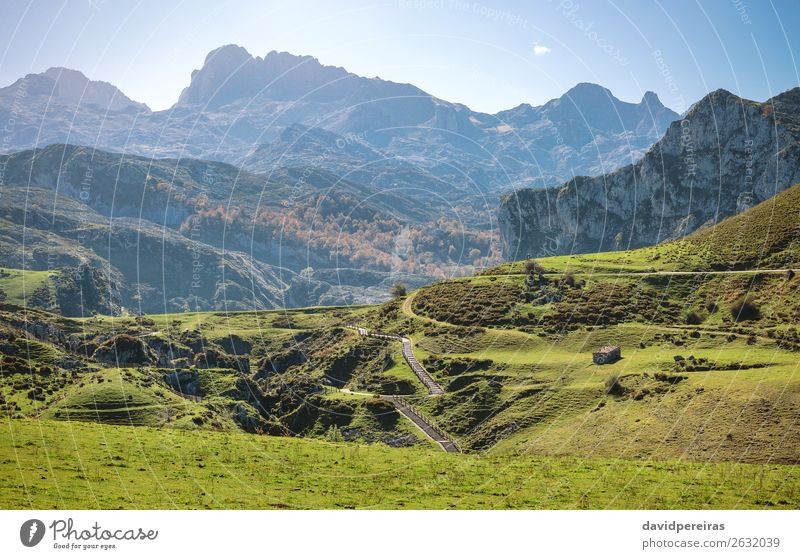 Landscape with path between mountains Beautiful Mountain Environment Nature Plant Sky Autumn Tree Grass Meadow Lakeside Street Lanes & trails Highway Natural