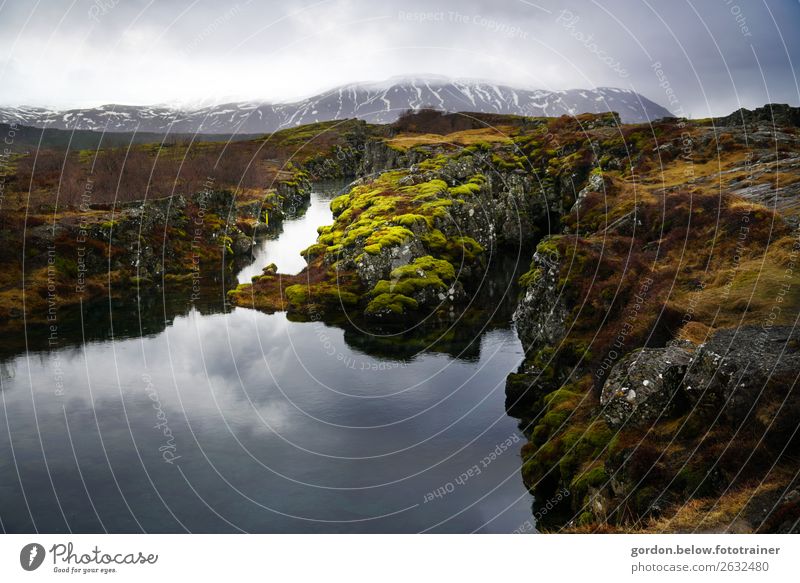 # Iceland the mirror of nature Nature Landscape Plant Earth Water Sky Clouds Autumn Beautiful weather Snow Moss Rock Snowcapped peak Bay Stone Relaxation