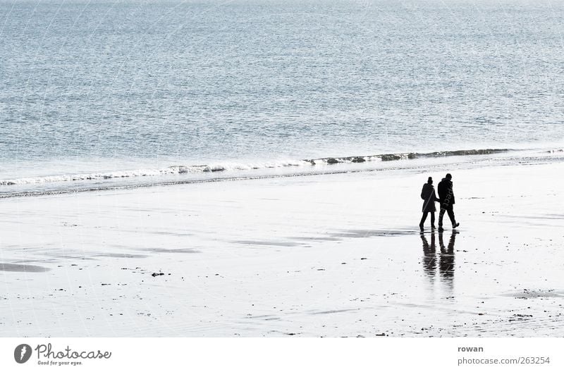 beach walk Human being Masculine Feminine Woman Adults Man Couple Partner Life 2 Water Beautiful weather Coast Beach Ocean Relaxation Going Together Happy Trust