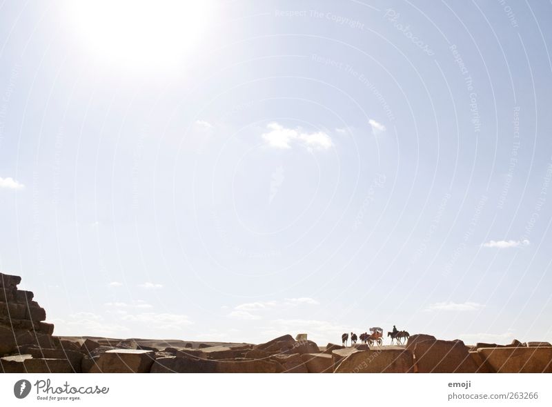 note the horses/coach Sky Cloudless sky Sun Summer Warmth Drought Desert Egypt Far-off places Vantage point Fragment Stone wall Colour photo Exterior shot