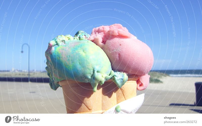 ice at the seaside Food Dessert Ice cream Candy Nutrition Summer Beach Colour photo Exterior shot Detail Deserted Day Light Sunlight Blur Ice cream ball