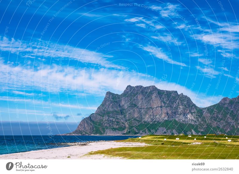 Utakleiv Beach on the Lofoten in Norway Relaxation Vacation & Travel Tourism Ocean Mountain Nature Landscape Water Clouds Grass Meadow Rock Coast Blue Green