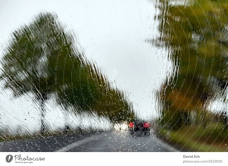 Country road in autumn when it rains Landscape Water Drops of water Autumn Bad weather Rain Tree Avenue Transport Motoring Street Car Driving Brown Green Black