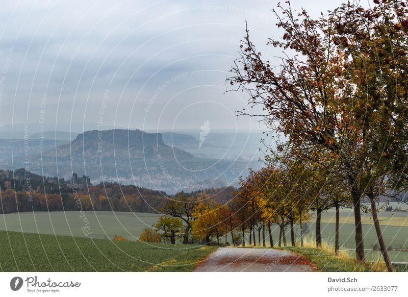 liilistone Vacation & Travel Tourism Mountain Hiking autumn vacation Nature Landscape Autumn Weather Tree Hill Liliesstein Blue Brown Multicoloured Yellow Green